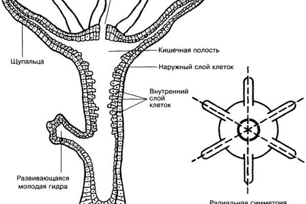 Как пополнить кракен