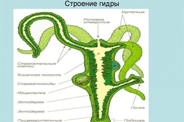 Активная ссылка кракен